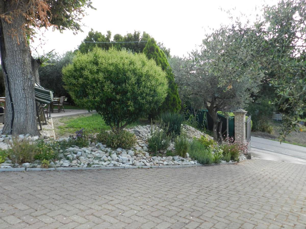 Il Cantinoccio B&B Cerasolo ภายนอก รูปภาพ